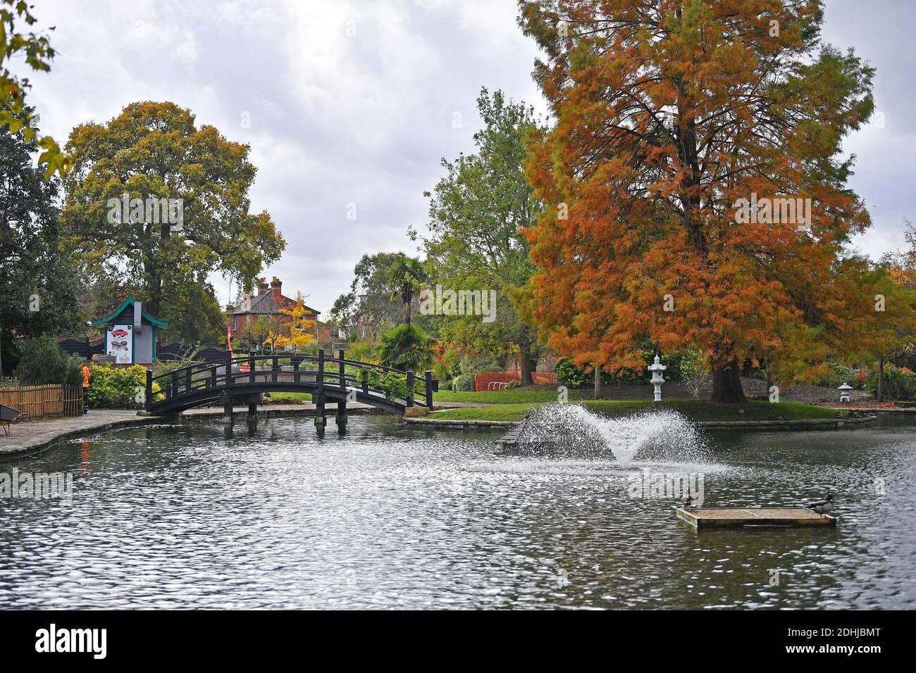 Feature on Stoke Park, Guildford - Herbstfarben, wie die Arbeiten zur Wiederherstellung und Verbesserung der orientalischen Gärten fortgesetzt. Guildford, Surrey. Bild aufgenommen am 20. Oktober 2020 Stockfoto