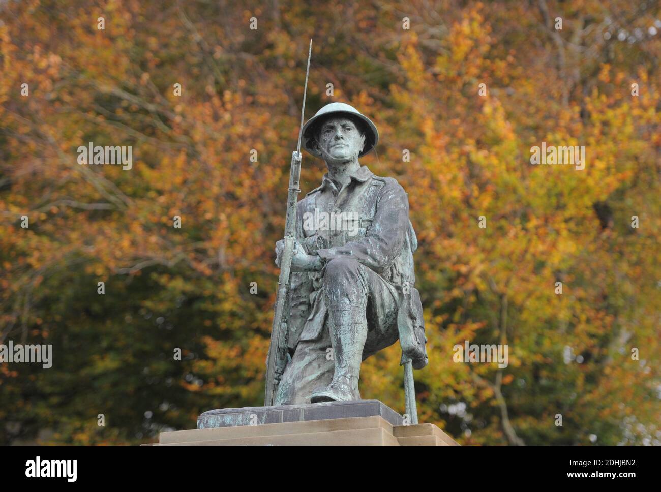 Herbstfarbe in Shildon, Grafschaft Durham. Bild aufgenommen am 16. Oktober 2020 Stockfoto