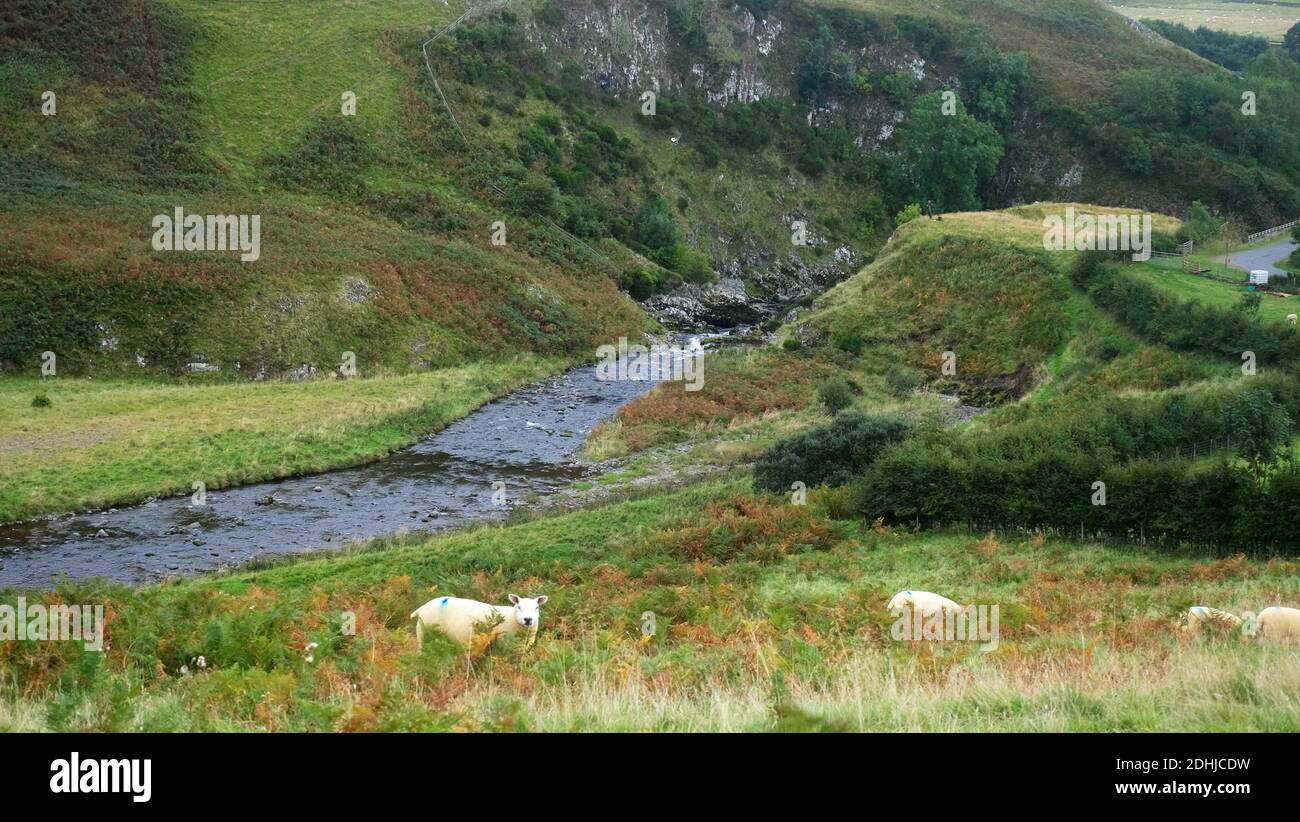 Der Fluss Coquet fließt durch eine tiefe Schlucht bei Shillmoor.Samstag, 3. Oktober 2020. Stockfoto