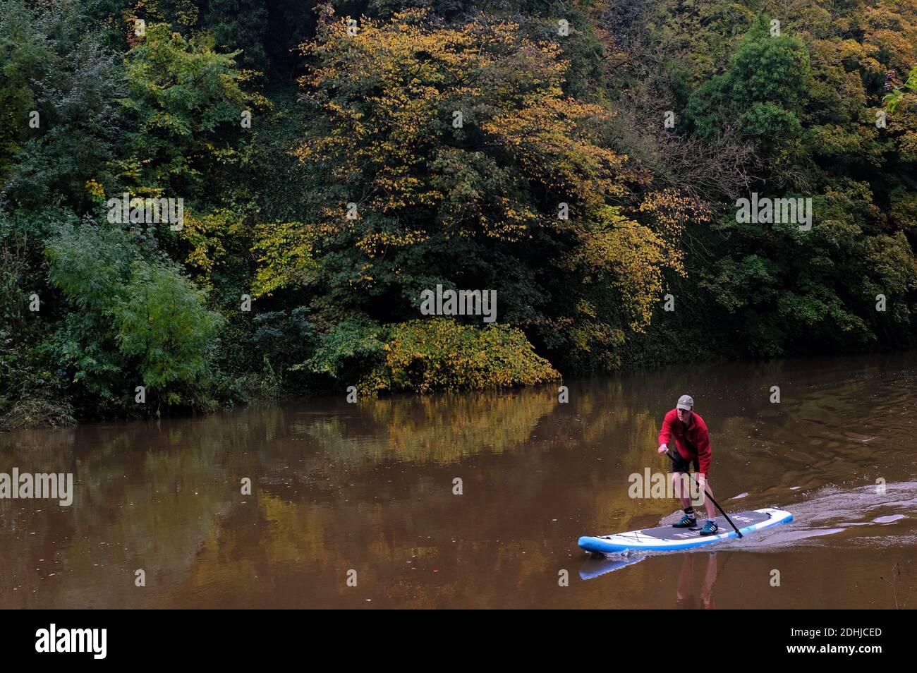 Herbstfarbe auf dem Fluss Wear, Grafschaft Durham. Bild aufgenommen am 16. Oktober 2020 Stockfoto