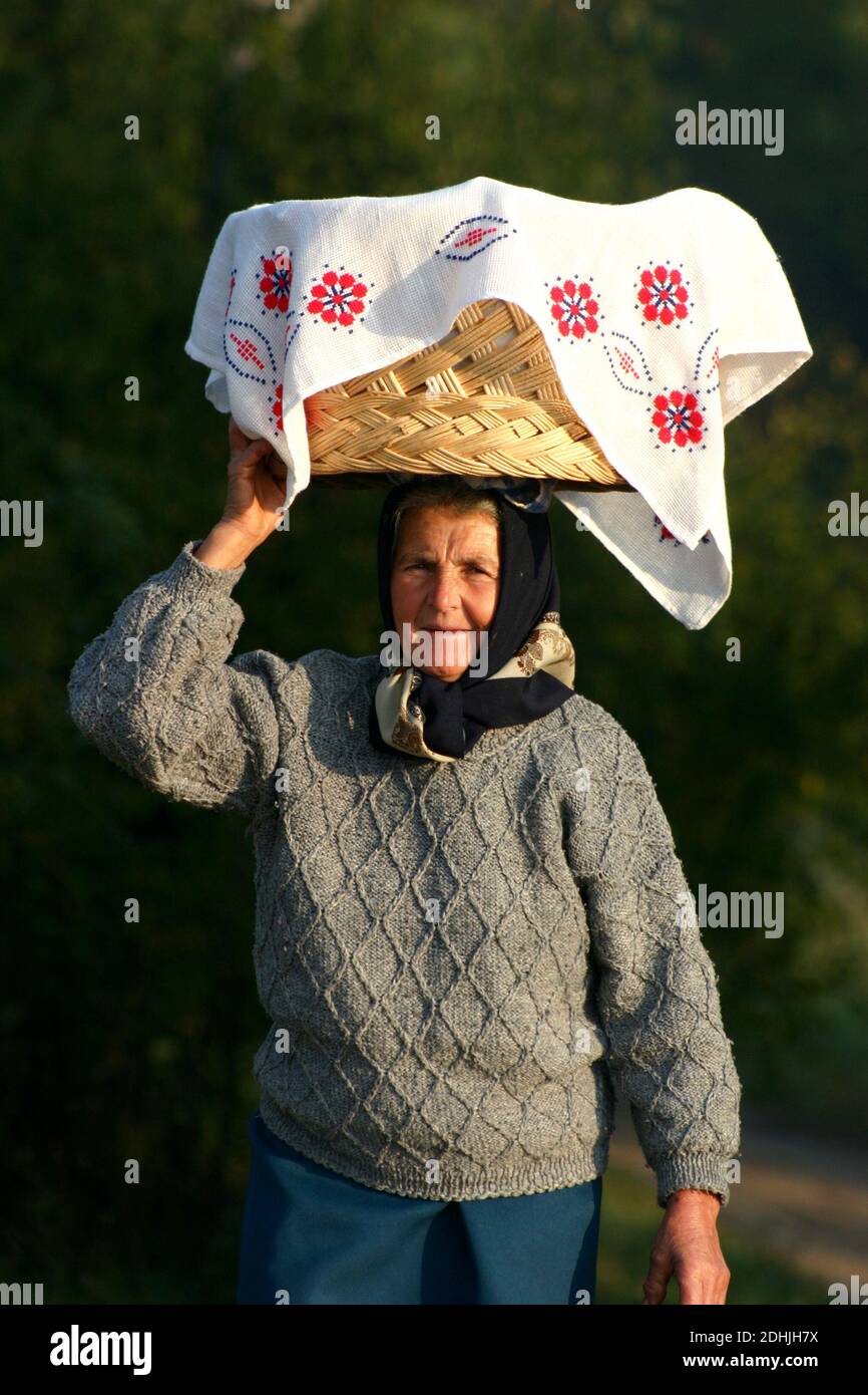 Olt County, Rumänien. Ältere Frau, die einen Radkasten mit Almosen auf dem Kopf trägt. Stockfoto