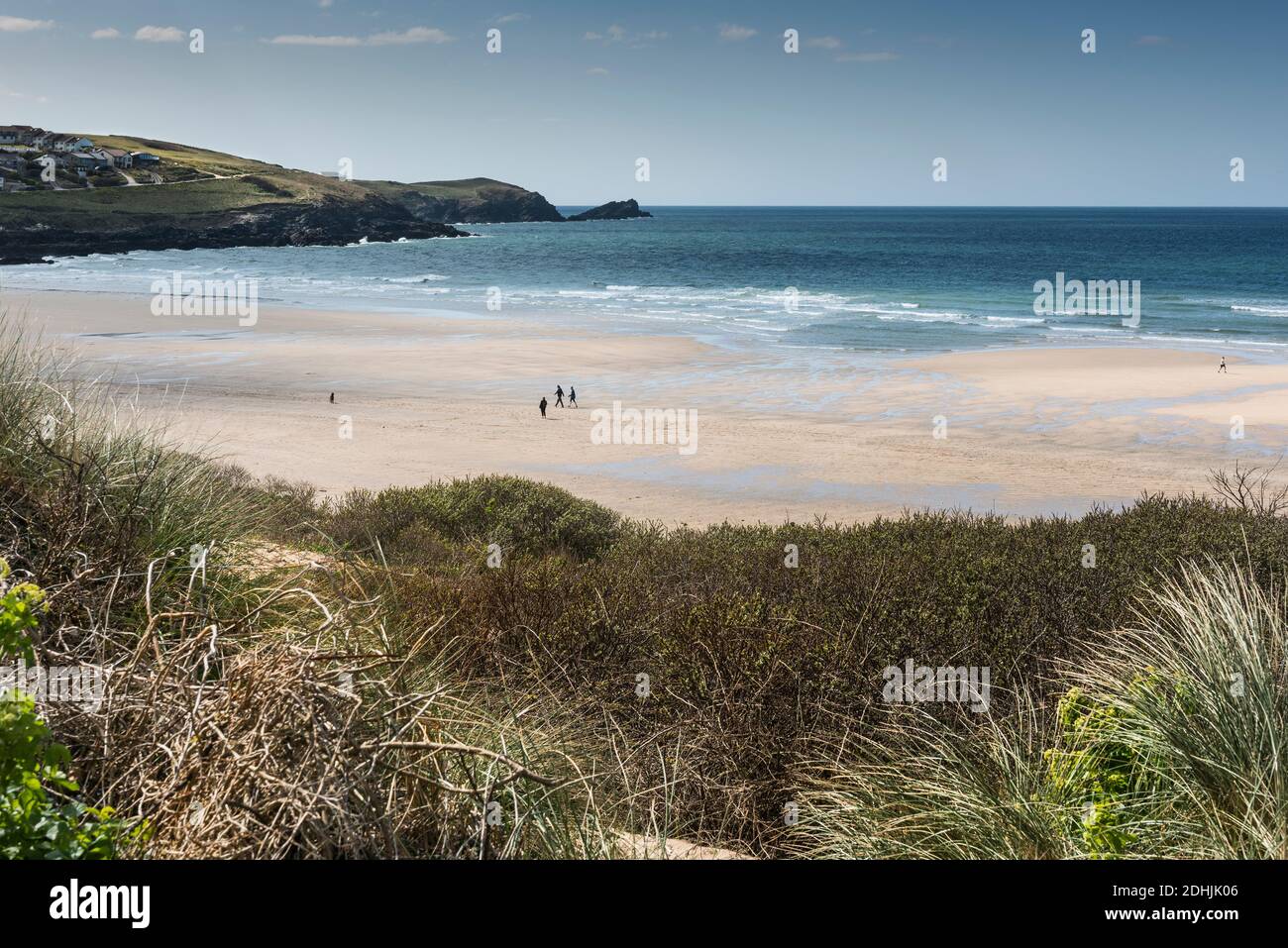 Vegetation wächst auf dem Sanddünensystem mit Blick auf Fistral Beach in Newquay in Cornwall. Stockfoto