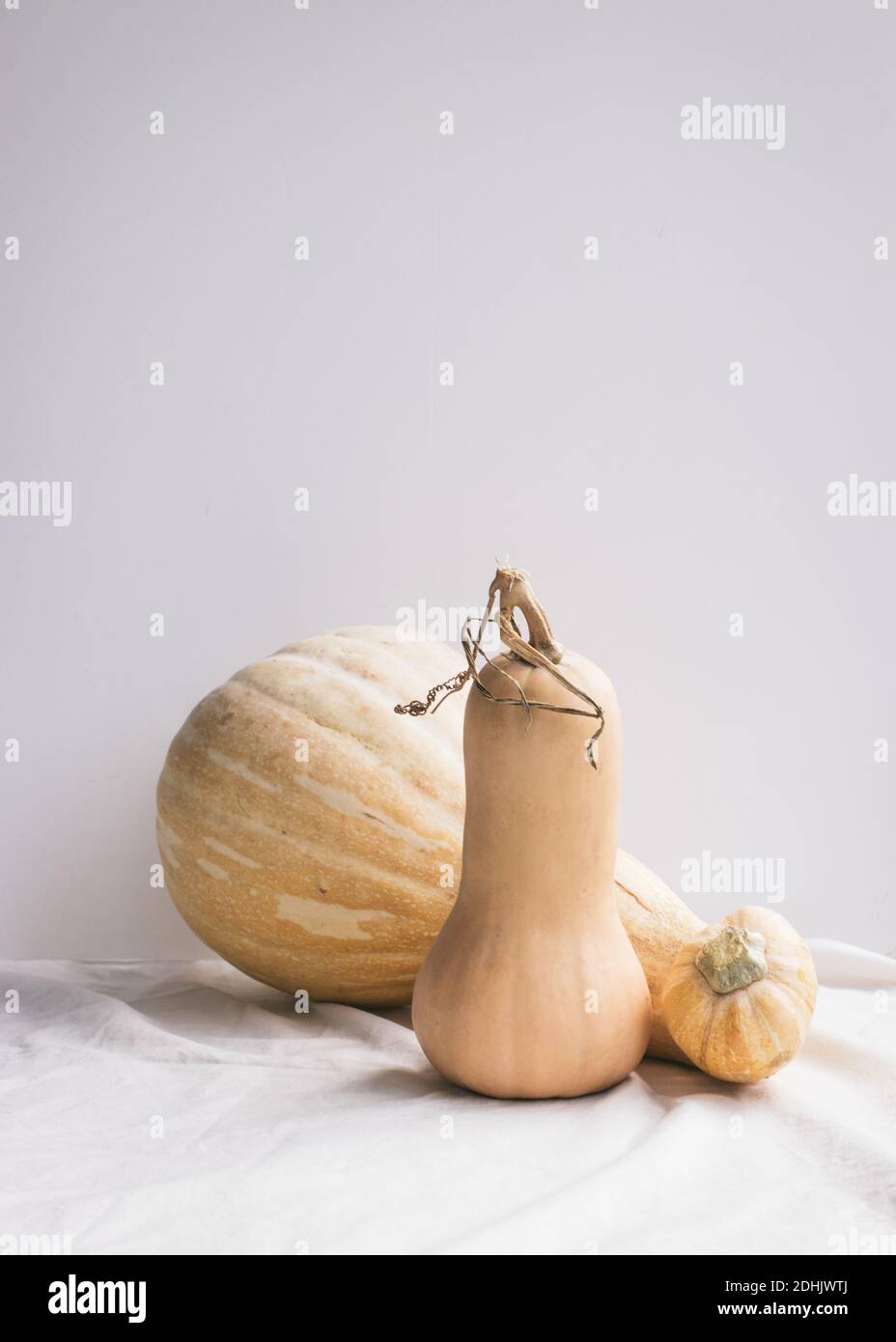 Zusammensetzung der Kürbisse auf dem Tisch Stockfoto