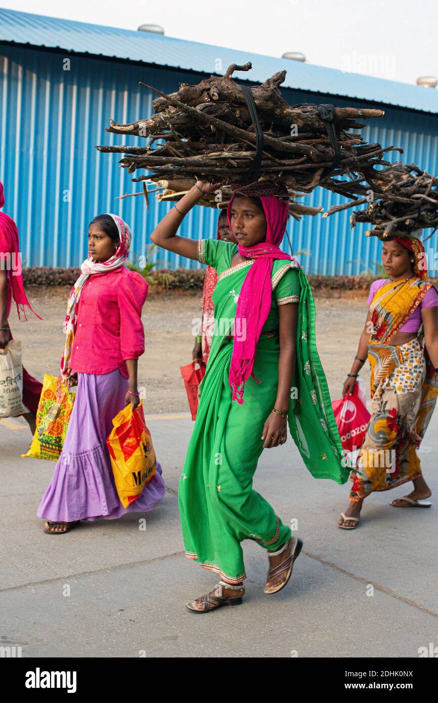 Die indische Frau trägt Holz auf dem Kopf und zeigt eine traditionelle Methode des Transports von Brennholz im ländlichen Indien. Stockfoto