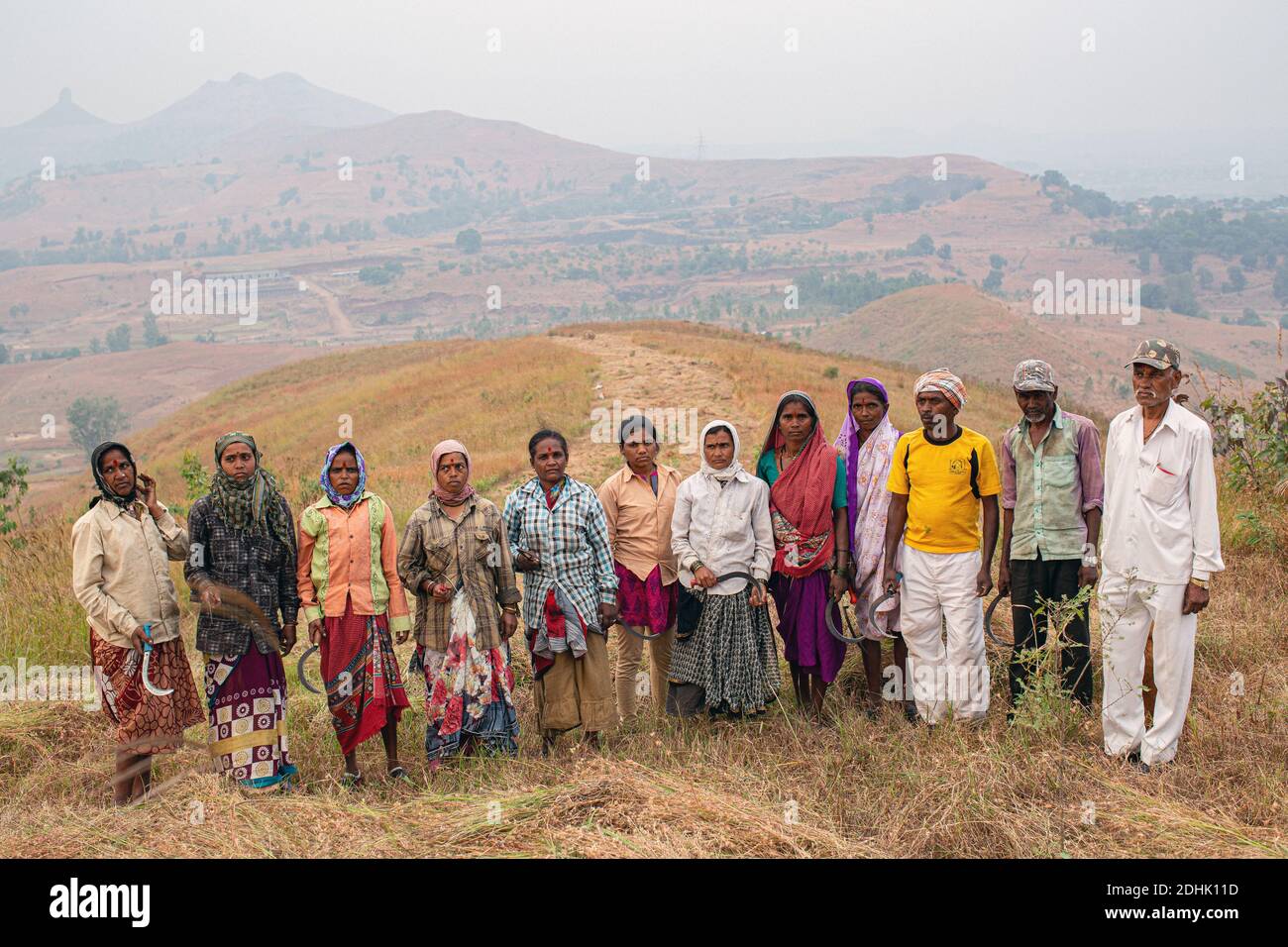 Samsonite pflanzte mehr als 228,000 Bäume im Maharashtra Staat in Westindien. Stockfoto