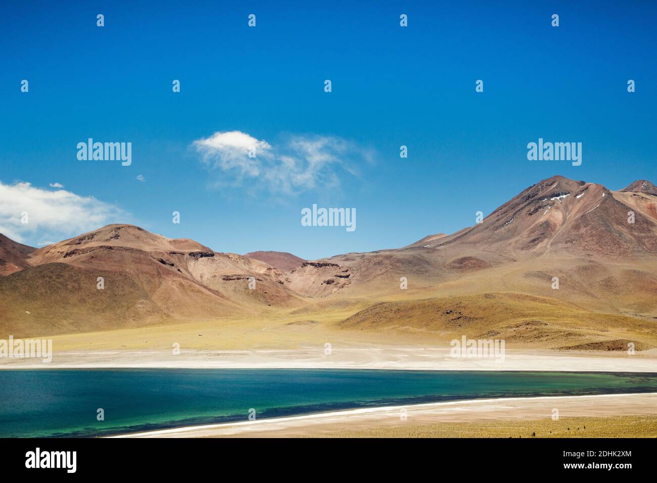 Der Vulkan Miniques erhebt sich über dem hellblauen Wasser der Laguna Miscanti San Pedro de Atacama, Andes, Chile Stockfoto