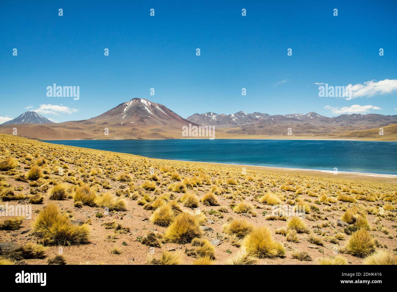 Der Vulkan Miscanti erhebt sich über dem hellblauen Wasser der Laguna Miscanti San Pedro de Atacama, Andes, Chile Stockfoto