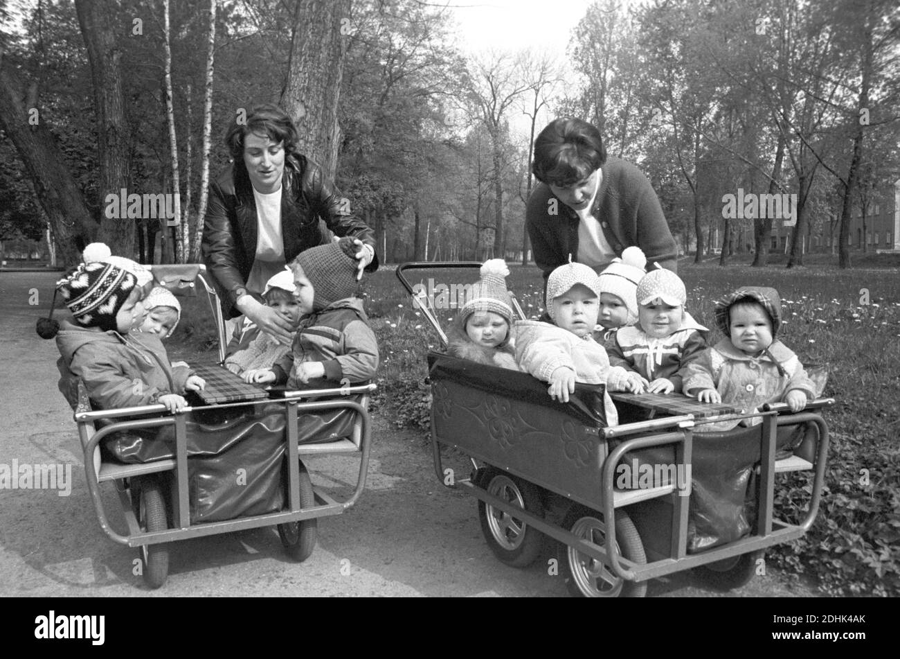 30. November 1984, Sachsen, Eilenburg: crèche-Kinder sitzen in ihren Spazial-Kinderwagen und machen Mitte der 1980er-Jahre mit ihren crèche-Pädagogen einen Spaziergang in Eilenburg. Genaues Datum der Aufnahme nicht bekannt. Foto: Volkmar Heinz/dpa-Zentralbild/ZB Stockfoto