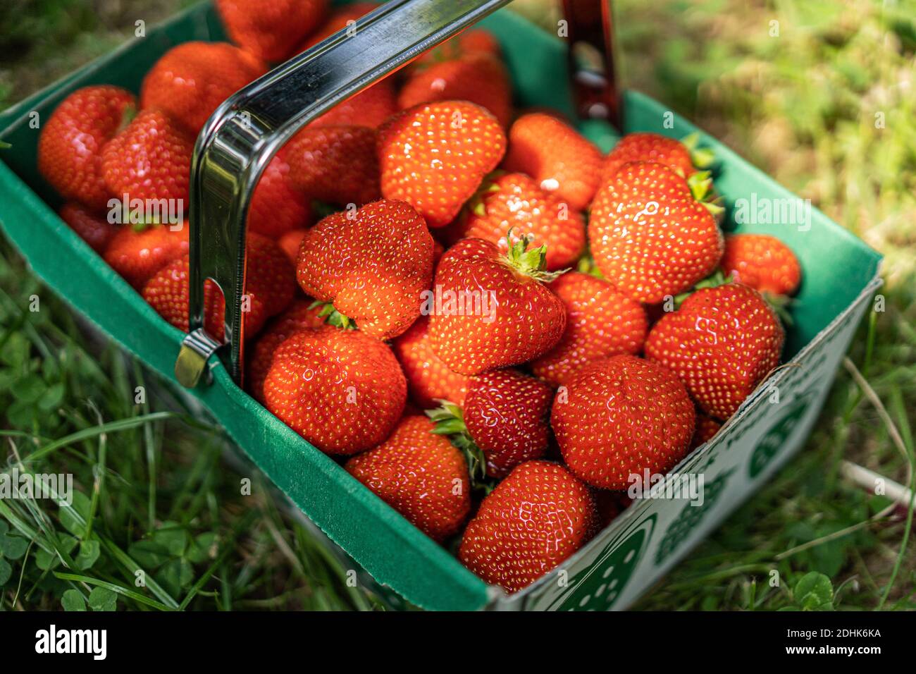Korb mit Erdbeeren Stockfoto