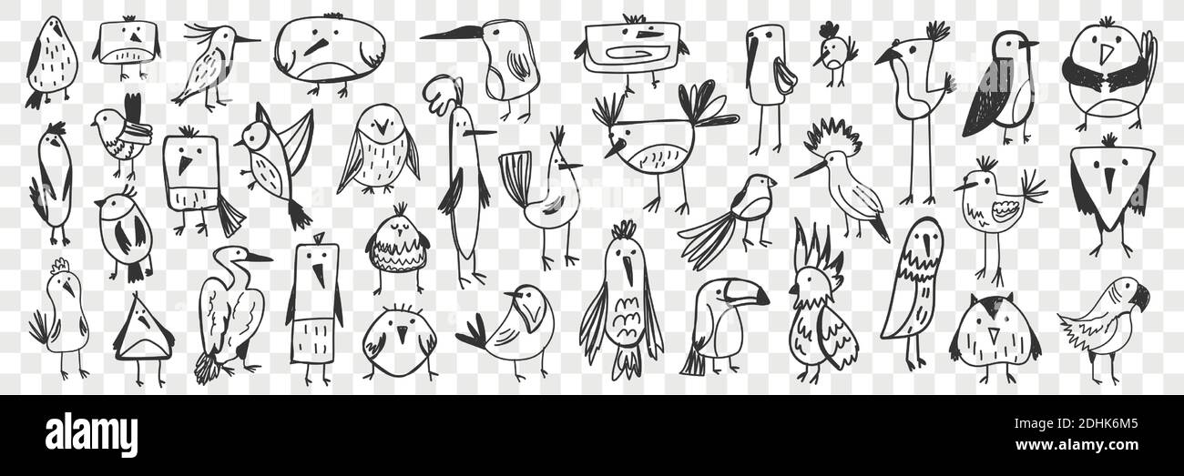 Vögel Doodle Set. Sammlung von lustigen handgezeichneten verschiedene Arten von niedlichen Wildvögeln isoliert auf transparentem Hintergrund. Illustration von Eule Titmouse Pinguin Pelikan Tukan Papagei für Kinder Stock Vektor