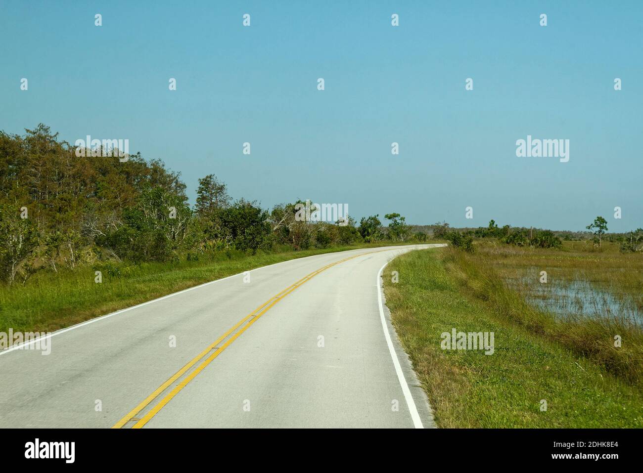 Main Park Road, 2 Land, Kurve, grüne Vegetation, Transport, Reisen, Everglades National Park, Florida, Flamingo, FL Stockfoto