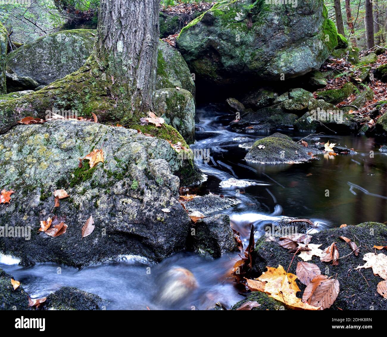 Ein Bach fließt im Herbst über moosbedeckten Felsen in New England. Stockfoto