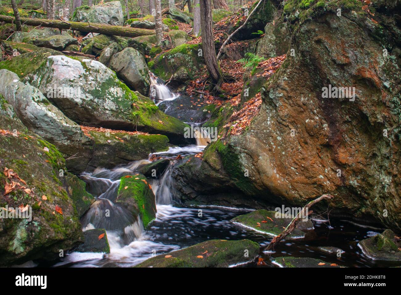 Ein Bach fließt im Herbst über moosbedeckten Felsen in New England. Stockfoto