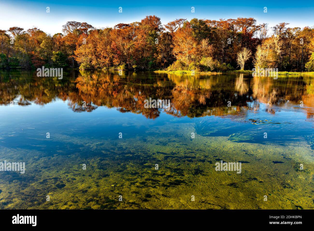 Edward Ball Wakulla Springs State Park. Die größten und tiefsten  Süßwasserquellen der Welt. Die schwarze Lagune Stockfotografie - Alamy