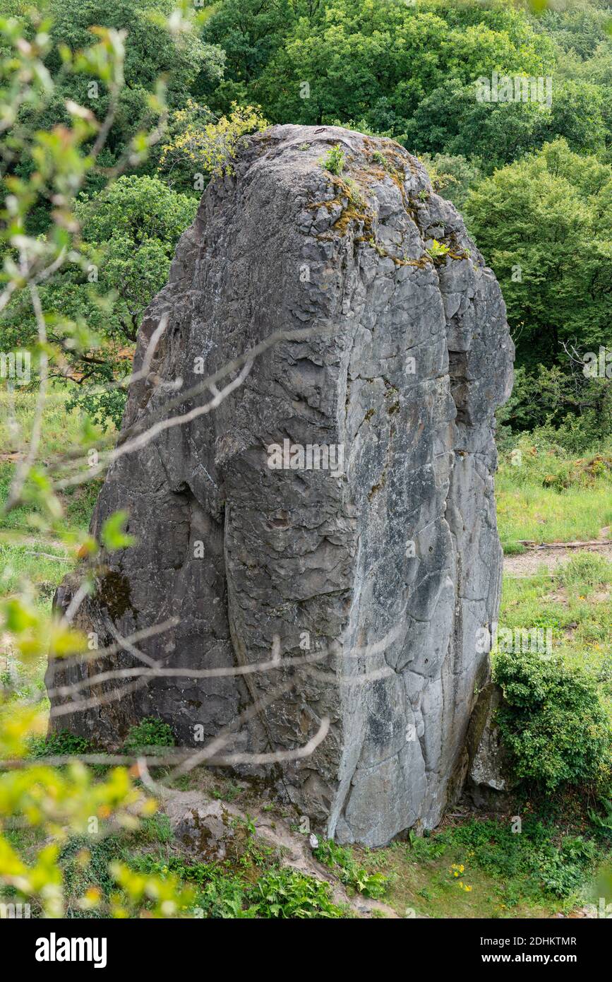 Felssäule vor der Felswand am Stenzelberg von oben gegen das Grün der Umwelt. Stockfoto