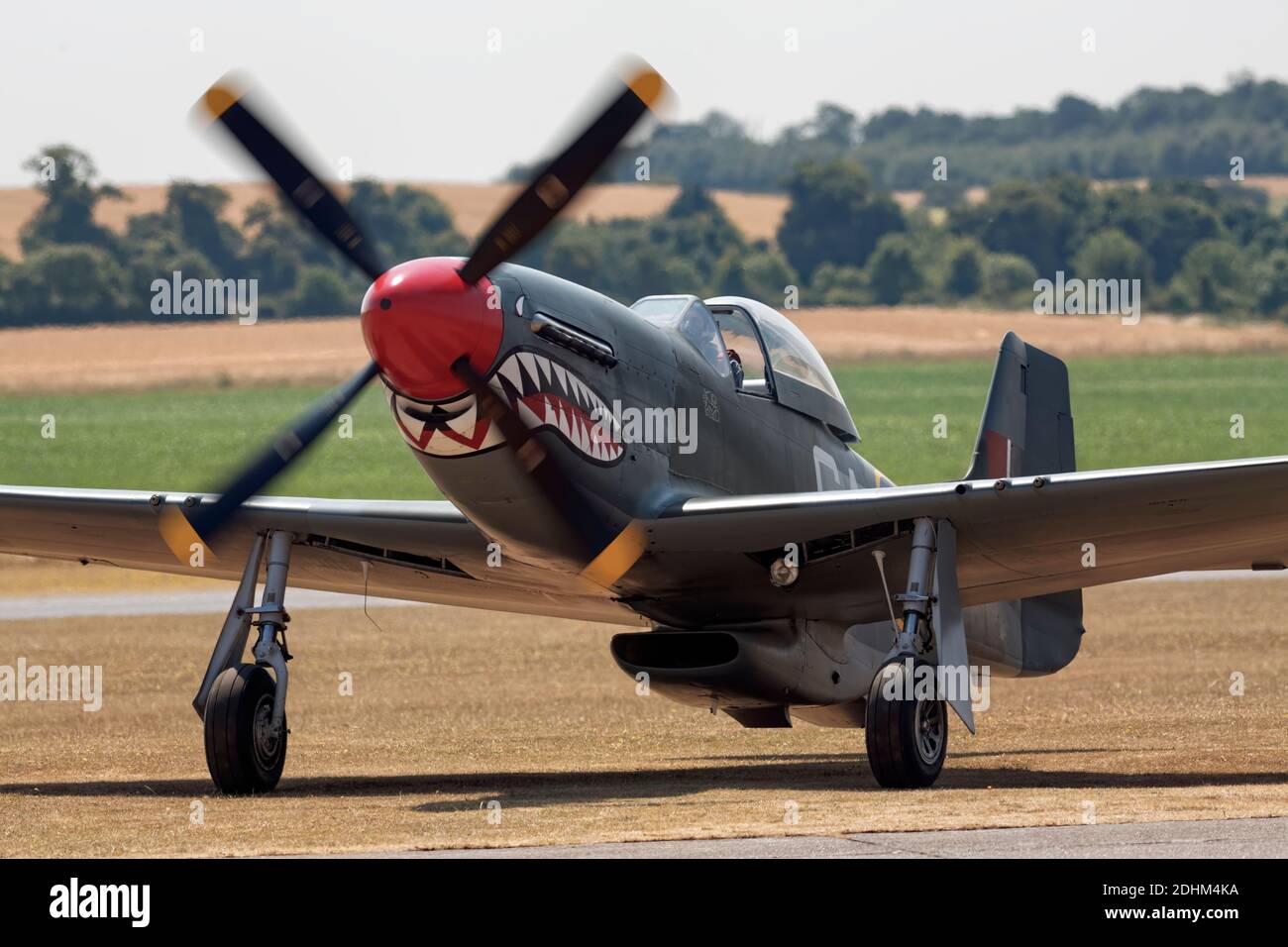 P-51 Mustang in RAF-Farbgebung mit Haifischzähnen Stockfoto