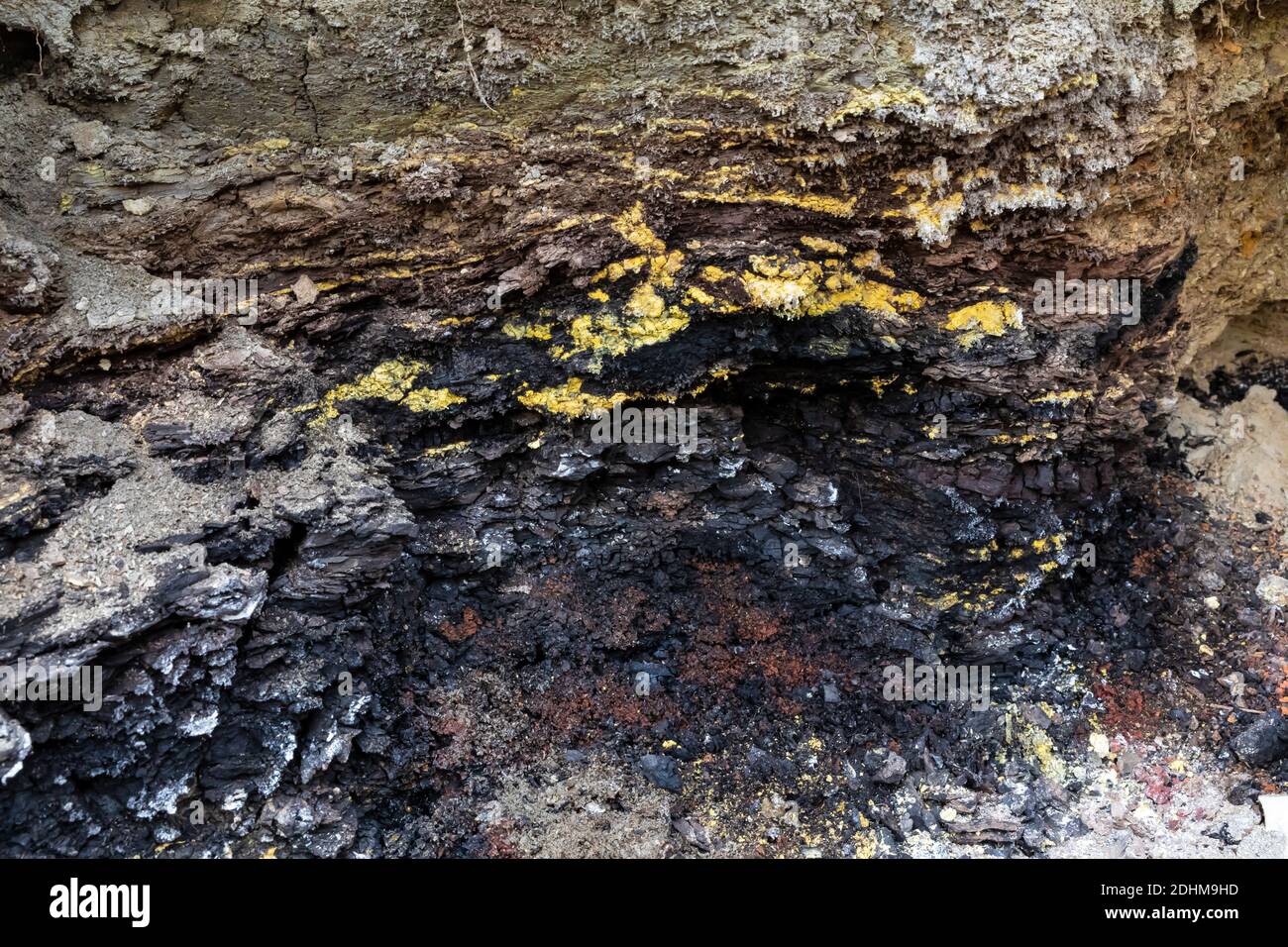 Rot gebackene Erde, Klinker, Char und Schwefel genannt, aus einem 2020 Kohlenaht Feuer, das unter der Erde brennt, entzündet durch eine vorgeschriebene Verbrennung, in Theodore Roosevelt Stockfoto