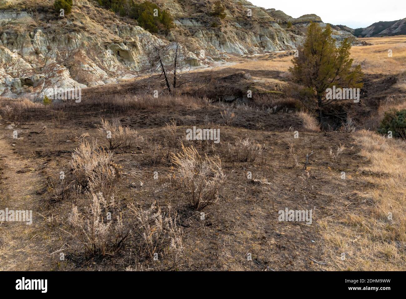 Standort eines Kohlenahtbrands, der unterirdisch, durch einen vorgeschriebenen Brand entzündet, im Theodore Roosevelt National Park in der Nähe von Medora, North Dakota, USA, brennt Stockfoto