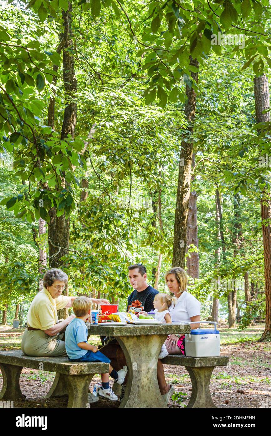 Huntsville Alabama, Monte Sano State Park, Familie Kind Mutter Vater Junge Sohn Baby Picknick Tisch Essen, Wald, Stockfoto