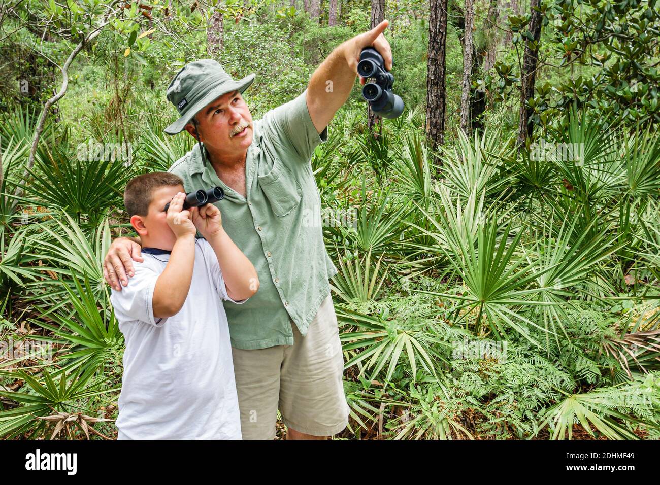 Alabama Dauphin Island Audubon Bird Sanctuary, Mann Großvater Enkel Söhne Junge Vogelbeobachter Fernglas suchen, Naturlehrpfad Promenade, Stockfoto