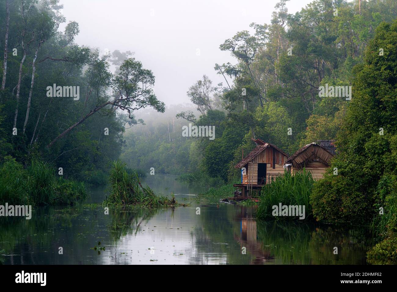 Regenwald und kleine Hütte am Sekonyer River (ein Nebenfluss zum Kumai River) in Kalimantan (Tanjung Puting National Park), im südlichen Borneo. Stockfoto