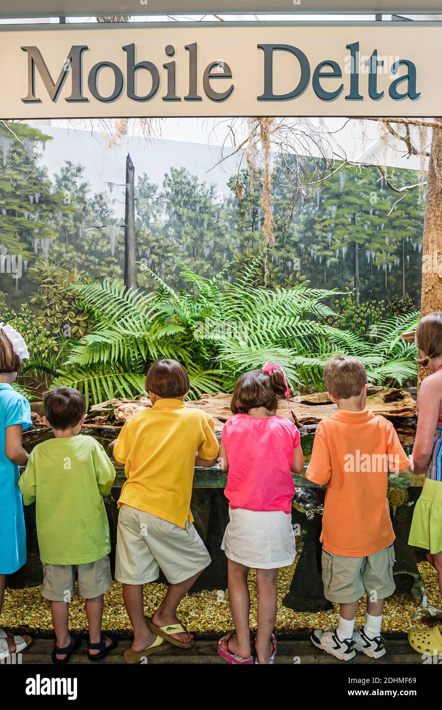Alabama Dauphin Island Sea Lab Estuarium öffentliches Aquarium, Mobile Delta Ausstellung Jungen Mädchen Kinder suchen, Stockfoto