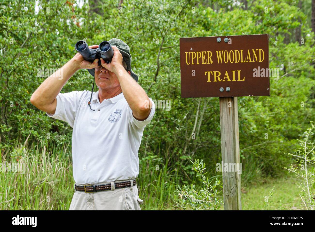 Alabama Dauphin Island Audubon Bird Sanctuary, man birding Birder Fernglas suchen, oberen Waldweg, Stockfoto