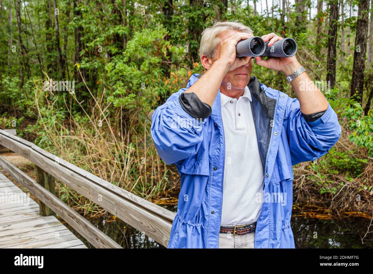 Alabama Dauphin Island Audubon Bird Sanctuary, man Senior birding Birder Fernglas suchen, Naturlehrpfad Promenade, Stockfoto