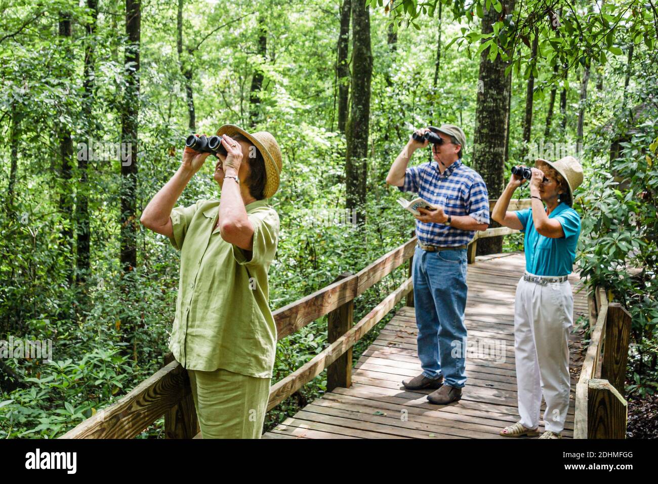 Alabama Dothan Landmark Park, Naturpromenade Vogelbeobachter Vögel Vögel Vögel Vögel Bäume Wald Mann Frauen Ferngläser, Stockfoto