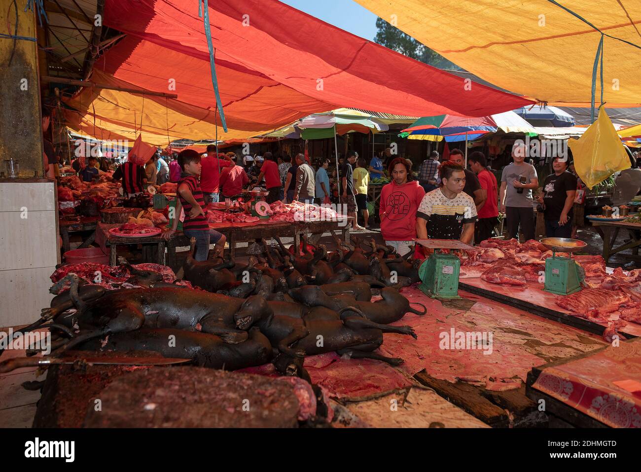 Tomohon Extremmarkt, Minahasa, Nord Sulawesi, Indonesien. Stockfoto