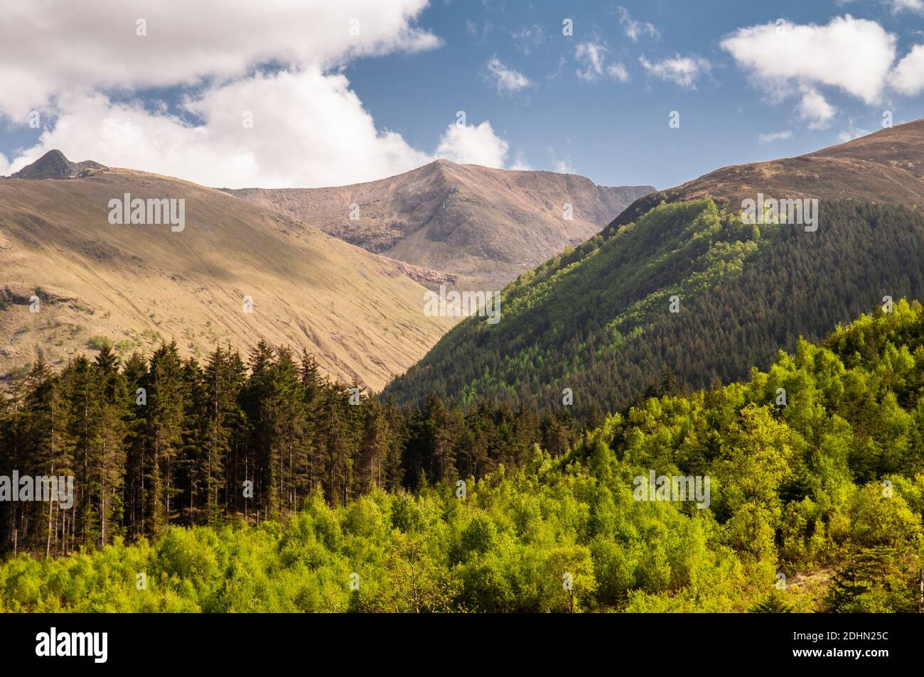 Die Mamores-Berge erheben sich über dem Glen Nevis Tal und der Nevis Forest Plantage in den West Highlands von Schottland. Stockfoto
