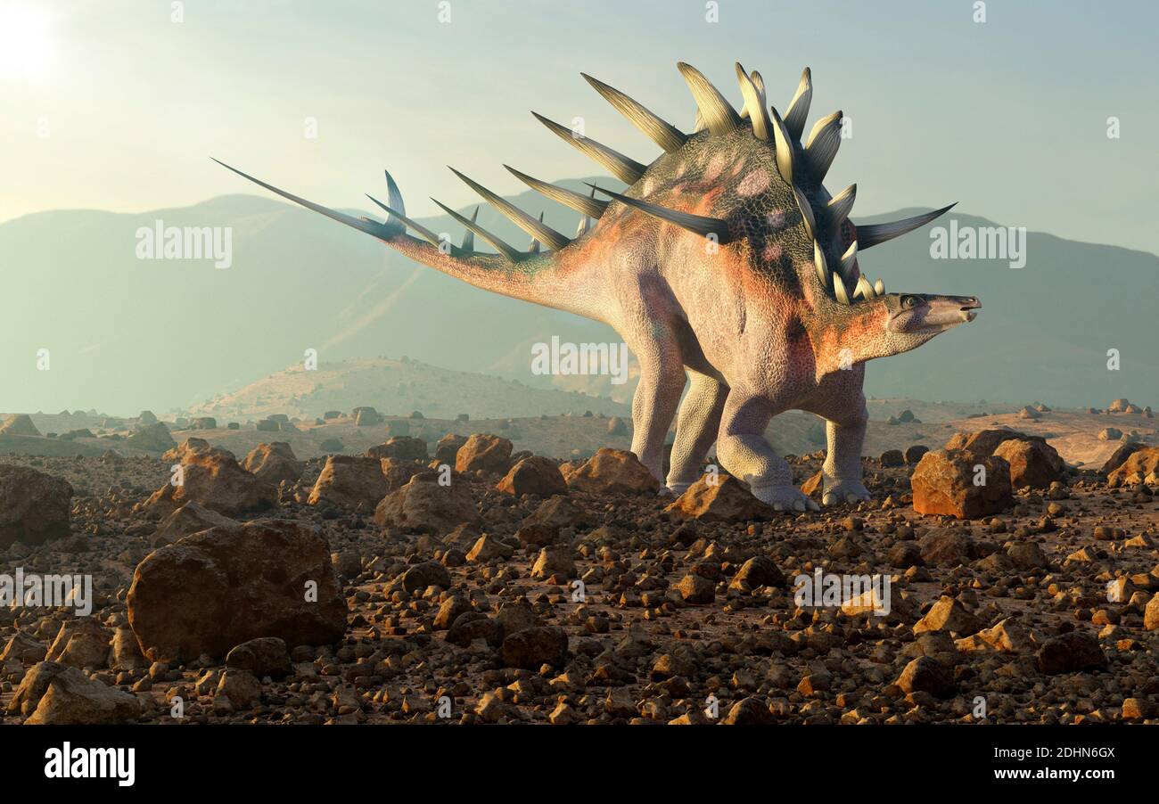 Illustration eines Kentosaurus Dinosauriers. Kentrosaurus war ein Akylosaurus - die gleiche Gruppe, zu der sein berühmter Cousin stegosaurus gehört. Kentrosa Stockfoto
