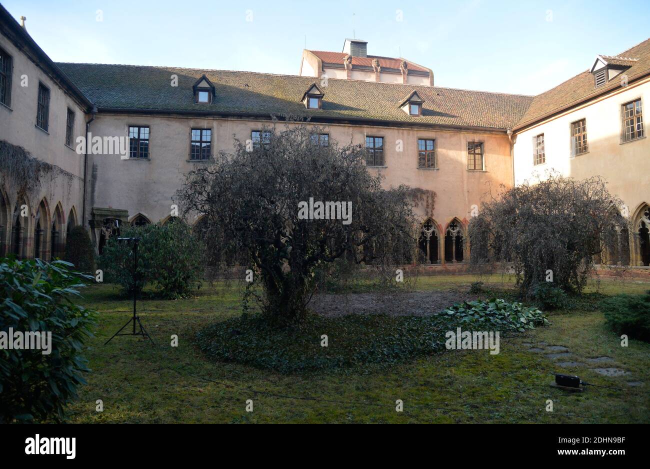 Außenansicht des neuen Unterlinden Museums in Colmar, Ostfrankreich am 22. Januar 2016. Das Museum wurde von den Schweizer Architekten Herzog und de Meuron renoviert und erweitert und im Dezember 2015 wiedereröffnet. Es ist das Meistbesuchte im Elsass und eines der meistbesuchten in Frankreich außerhalb der Region von Paris. Masterpice des Museums ist das Isenheimer Altarbild (Retable d'Issenheim) von Matthias Grünewald, ein Polyptychon aus elf Tafeln ist in der Museumskapelle zu sehen. Das Museum enthält auch Werke von Pablo Picasso (ein 7 Meter langer Guernica-Wandteppich), Jean Dubuffet, Fernand Leger, Stockfoto