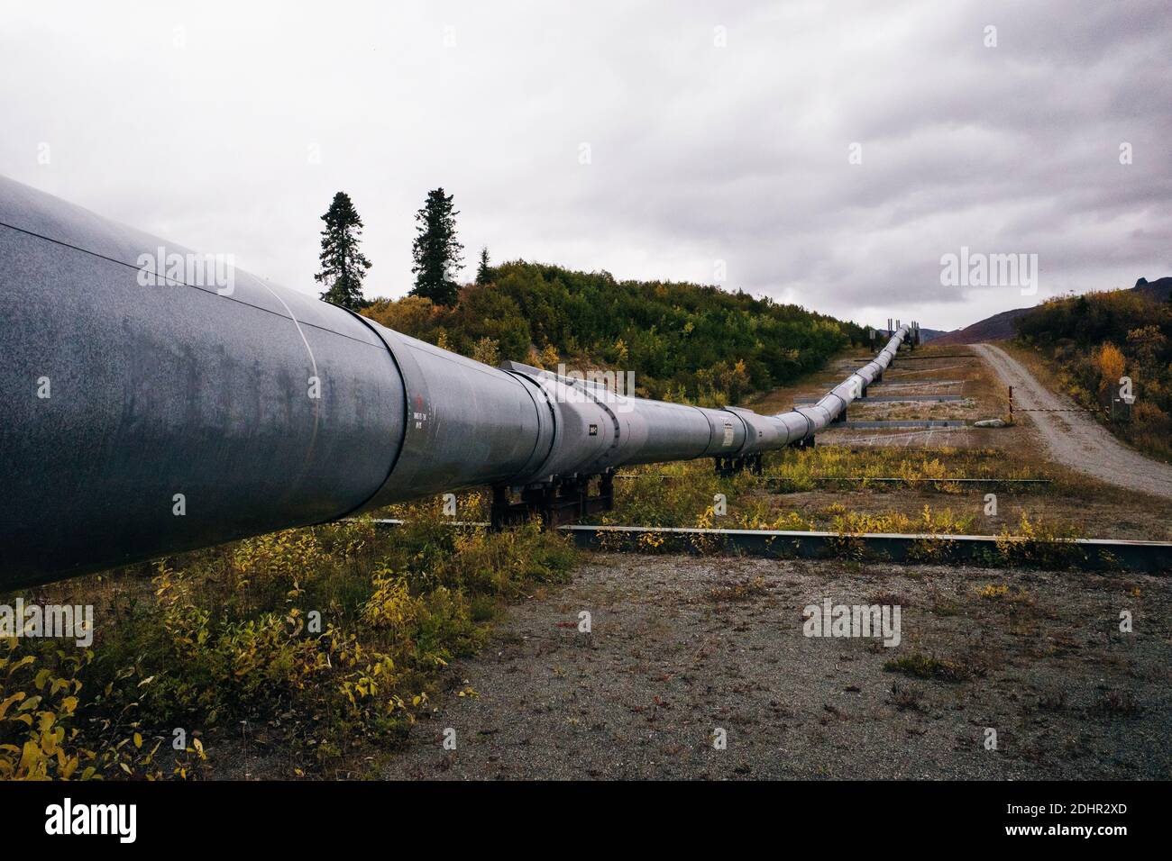 Draufsicht auf die Trans-Alaska-Ölpipeline, wobei die Muster im Metall hervorgehoben werden. Stockfoto