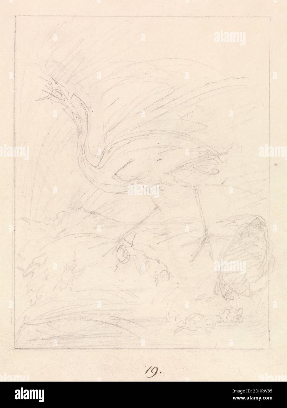 Crane and Frogs, Samuel Howitt, 1756–1822, britisch, nach 1813, Graphit auf Medium, leicht strukturiert, cremefarbenes Wove-Papier, Blatt: 7 3/8 × 5 3/4 Zoll (18.7 × 14.6 cm), Tierkunst, Kranich (Vogel Stockfoto