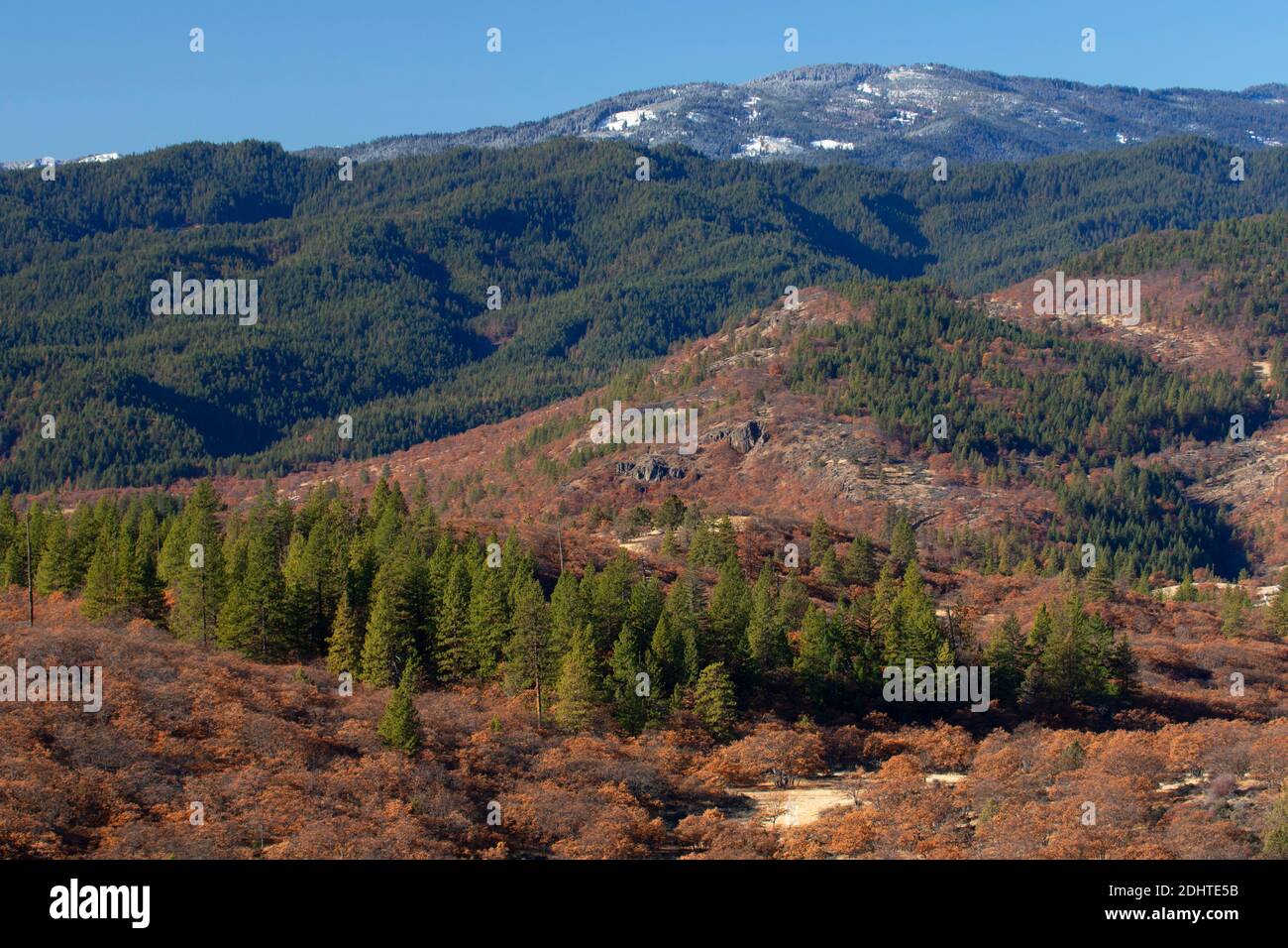 Blick vom Gipfel des Siskiyou Pass, Cascade Siskiyou National Monument, Oregon Stockfoto