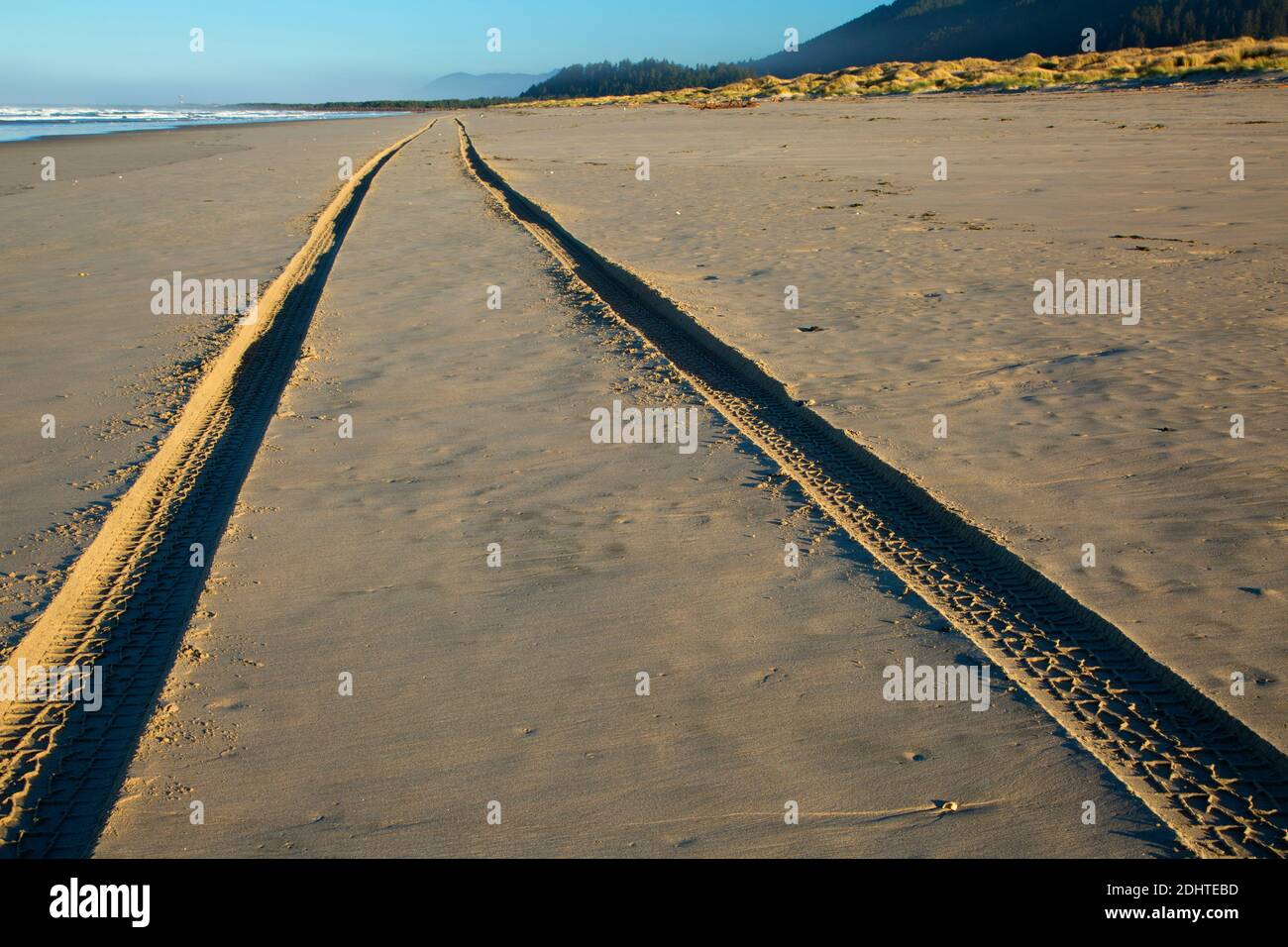 Reifenspuren am Strand, Bayocean Peninsula, Tillamook County, Oregon Stockfoto