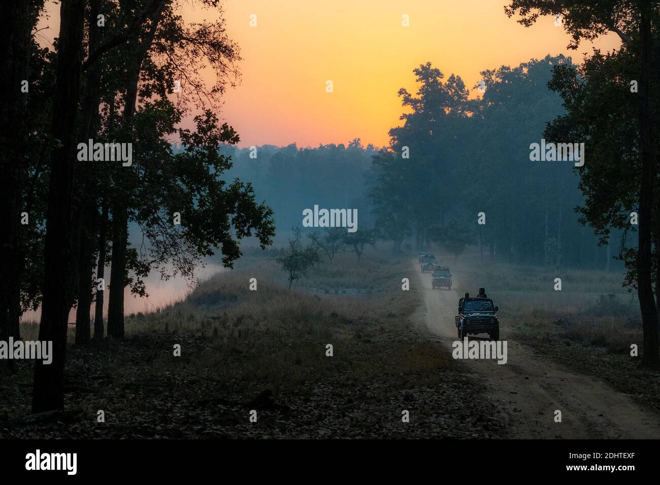 Touristen beginnen ihre morgendliche Wildfahrt auf der Jagd nach Tigern und anderen Wildtieren bei Sonnenaufgang im Kanha National Park, Madhya Pradesh, indien. Stockfoto