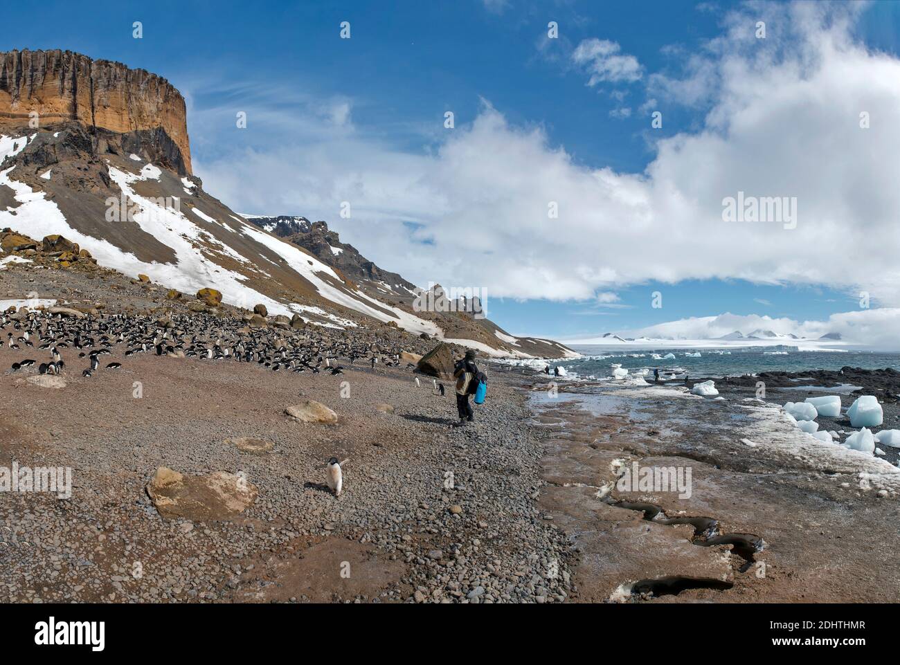 Brown Bluff und die Tabarin-Halbinsel (Antarctic Sound) ist ein Basalt-tuya, der in den letzten 1 Million Jahren entstanden ist. Die Website, die eine bekannte Landung s ist Stockfoto
