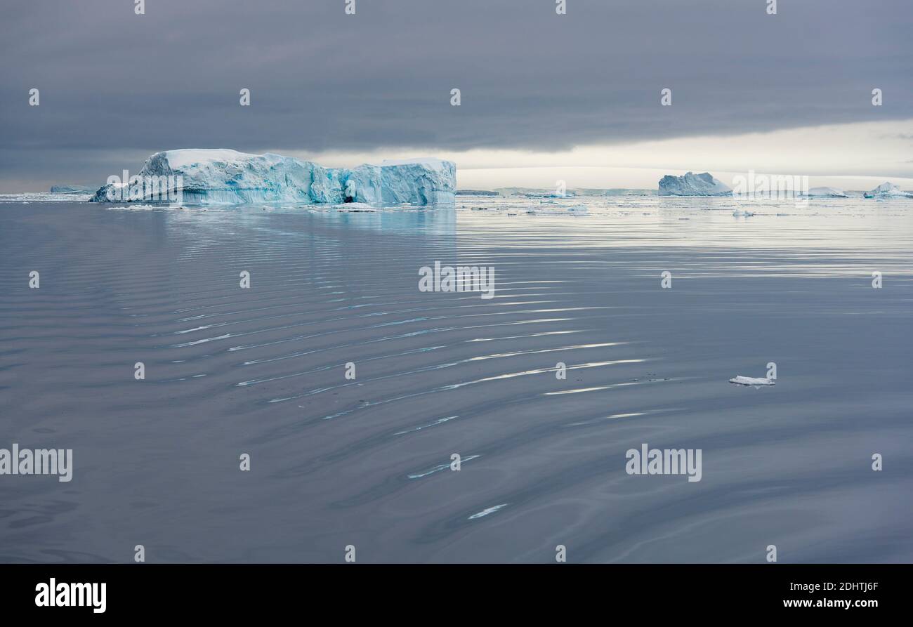 Eisberge, Treibeis und ruhiges Meer im Antarctic Sound an der Nordspitze der Antarktischen Halbinsel Stockfoto