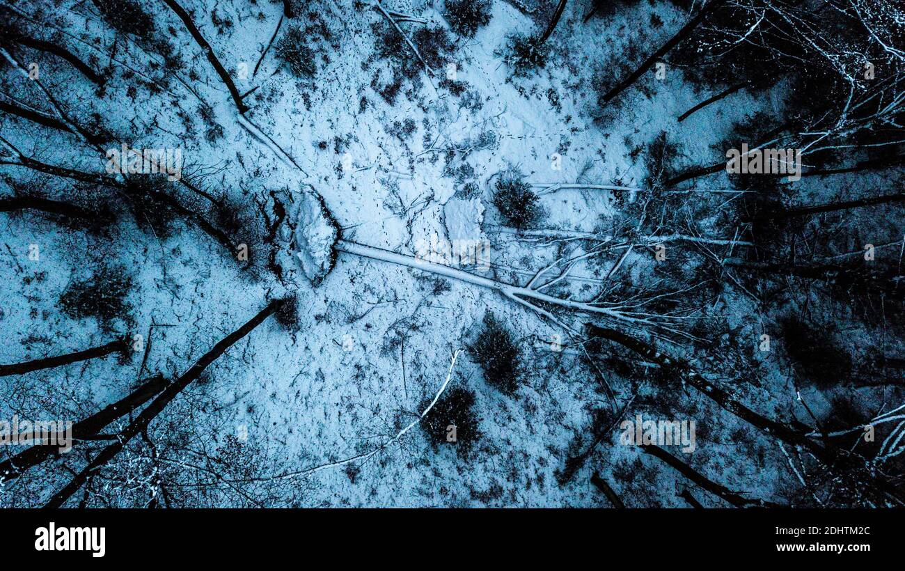 Luftaufnahme der Winterwaldlandschaft Stockfoto