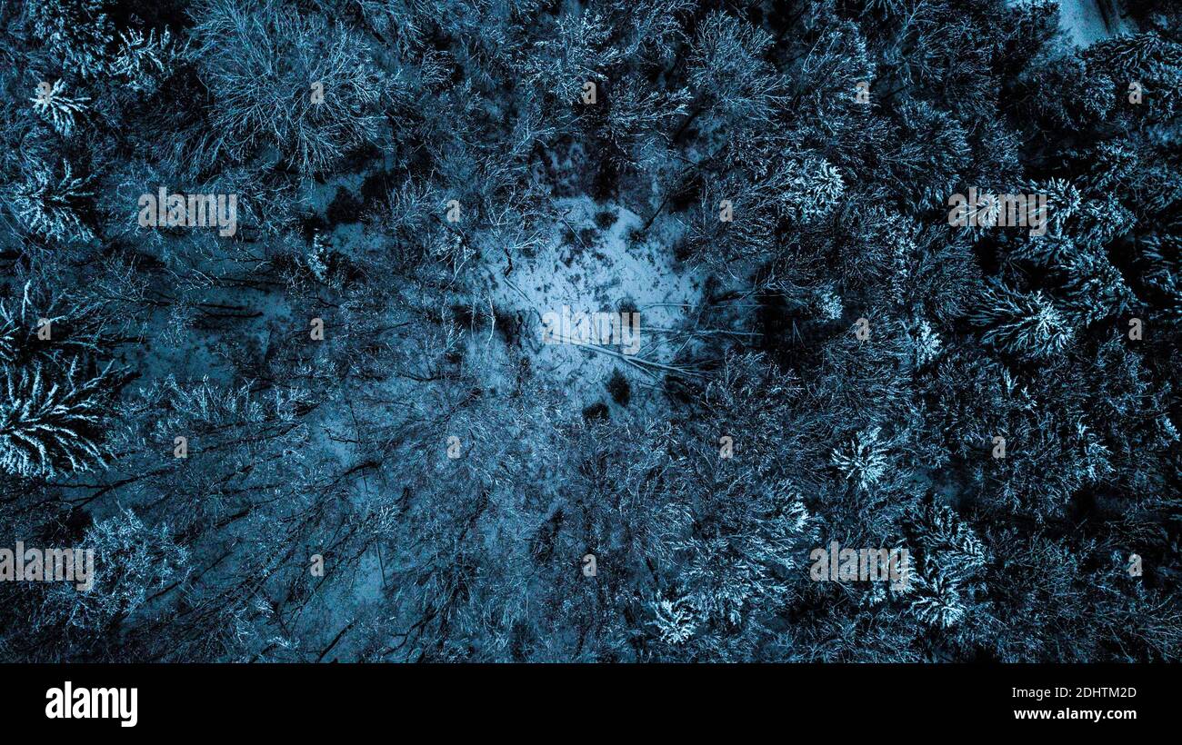 Luftaufnahme der Winterwaldlandschaft Stockfoto