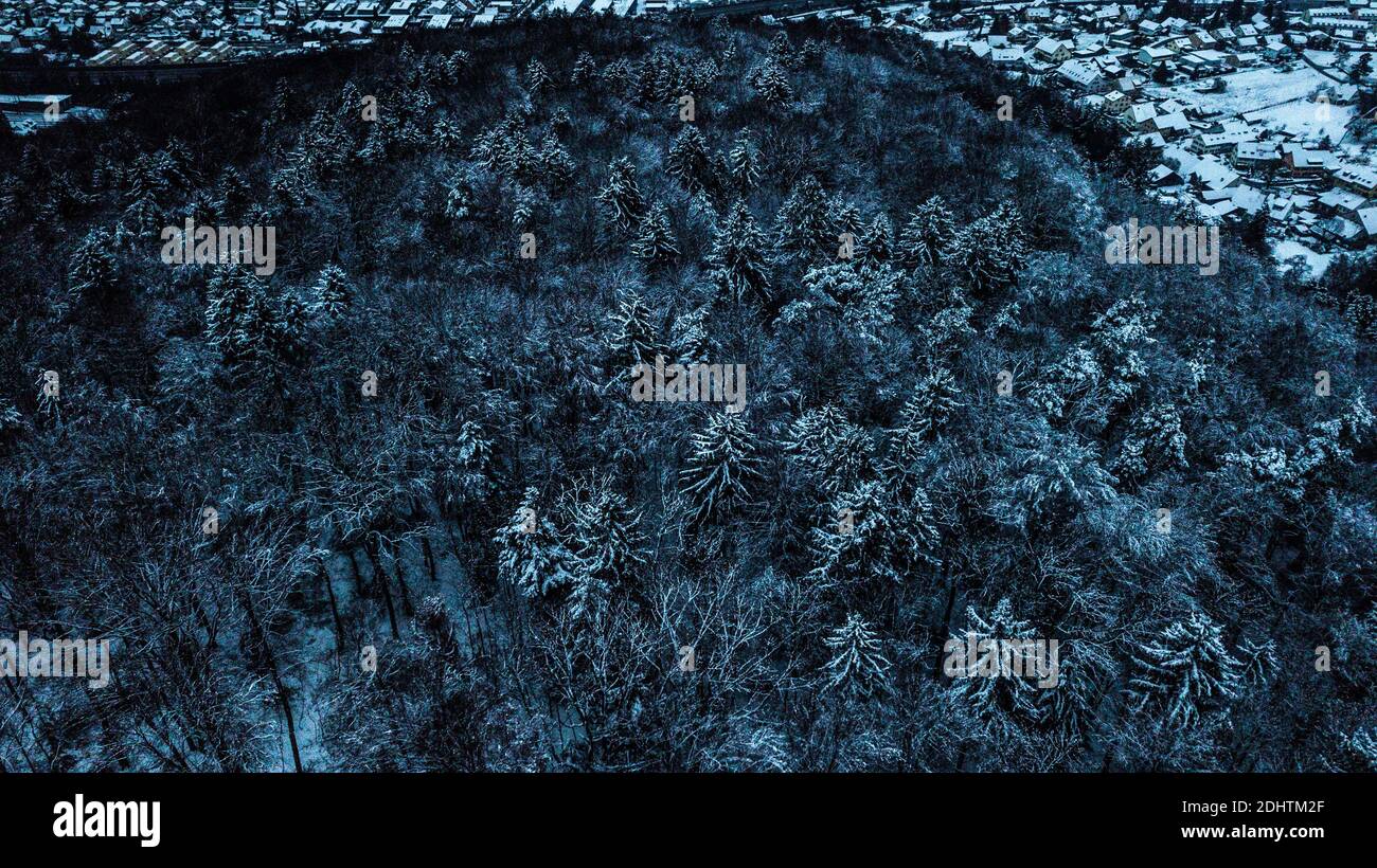 Luftaufnahme der Winterwaldlandschaft Stockfoto
