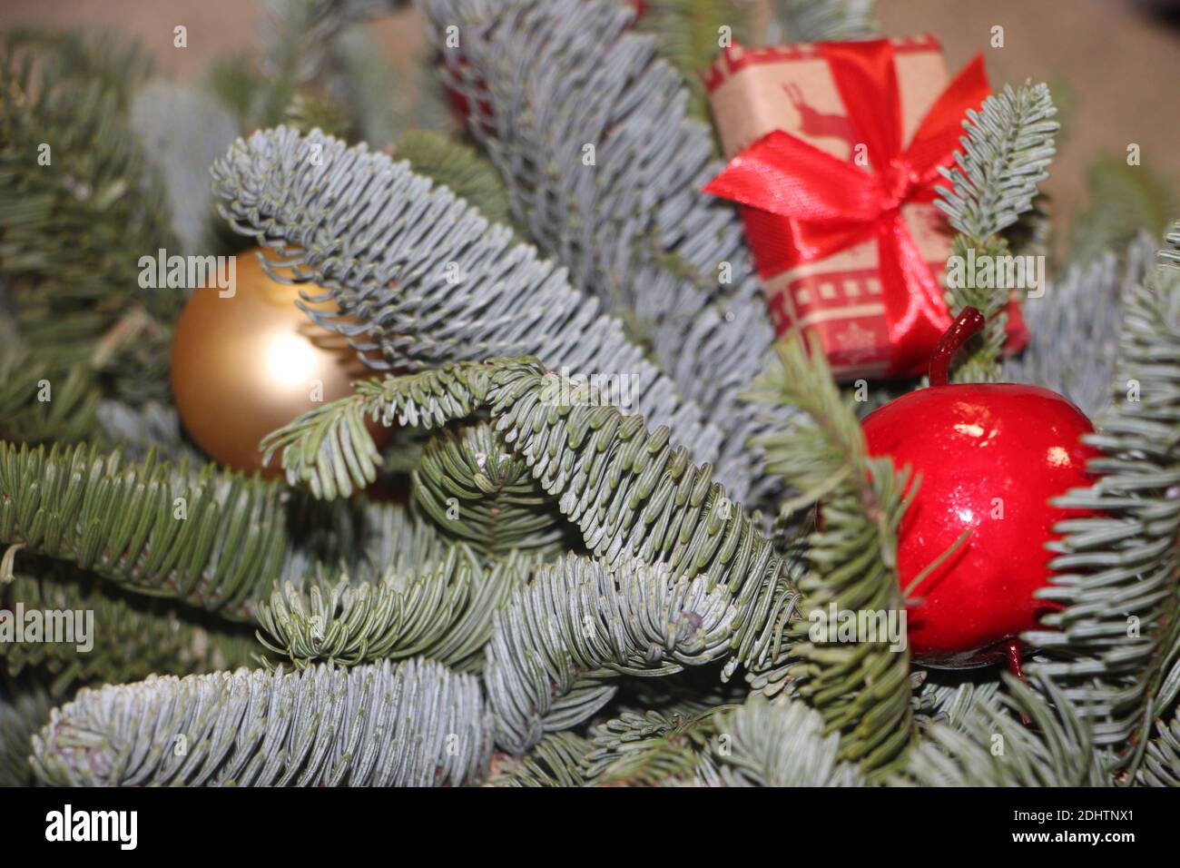Neujahrskarte. Weihnachtsschmuck in rot und Gold auf den Zweigen der Tanne. Stockfoto