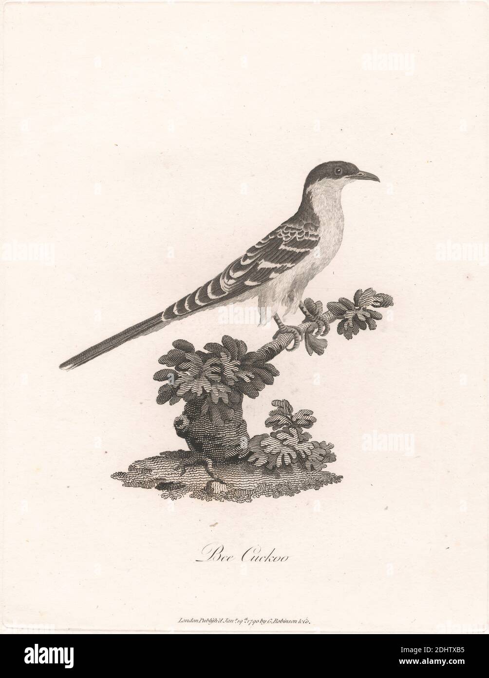 Rachamah, James Heath, 1757–1834, britisch, nach James Bruce, 1730–1794, britisch, 1790, Engraving Stockfoto