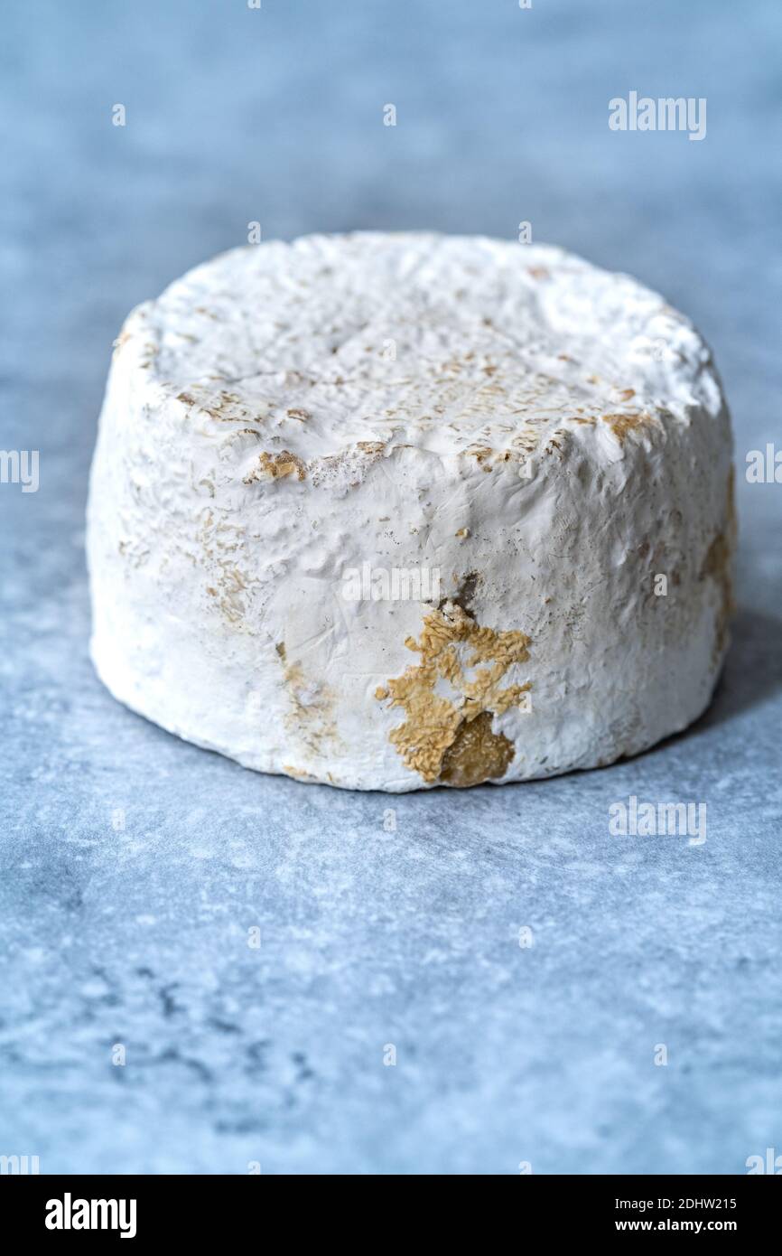 Ganze Zart Schimmeligen Käse. Gourmet-Essen bereit zu essen und zu servieren. Bio-Produkt. Stockfoto