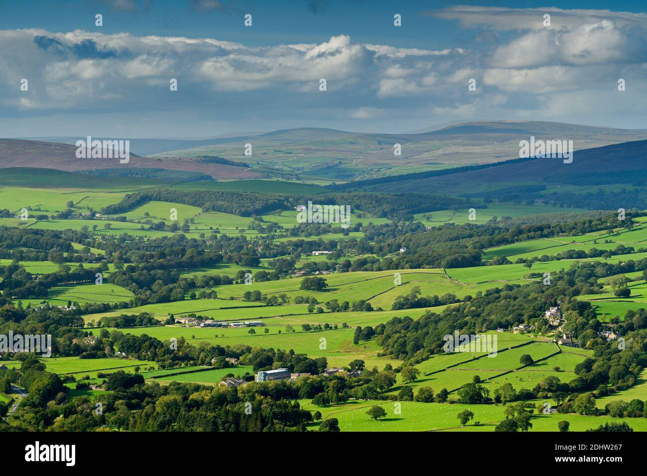 Landschaftlich reizvolle Aussicht auf Wharfedale (breites grünes Tal, sanfte Hügel, hohe Hochlandfells, Sonnenlicht an Land, blauer Himmel) - West Yorkshire, England, Großbritannien. Stockfoto