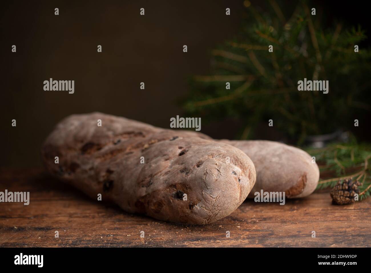 Vörtbröd Roggenbrot mit Rosinen auf einem Holztisch. Mit pinaceae Zweigen im Hintergrund. Schwedisches traditionelles weihnachtsbrot Würze Brot oder Würze lo Stockfoto