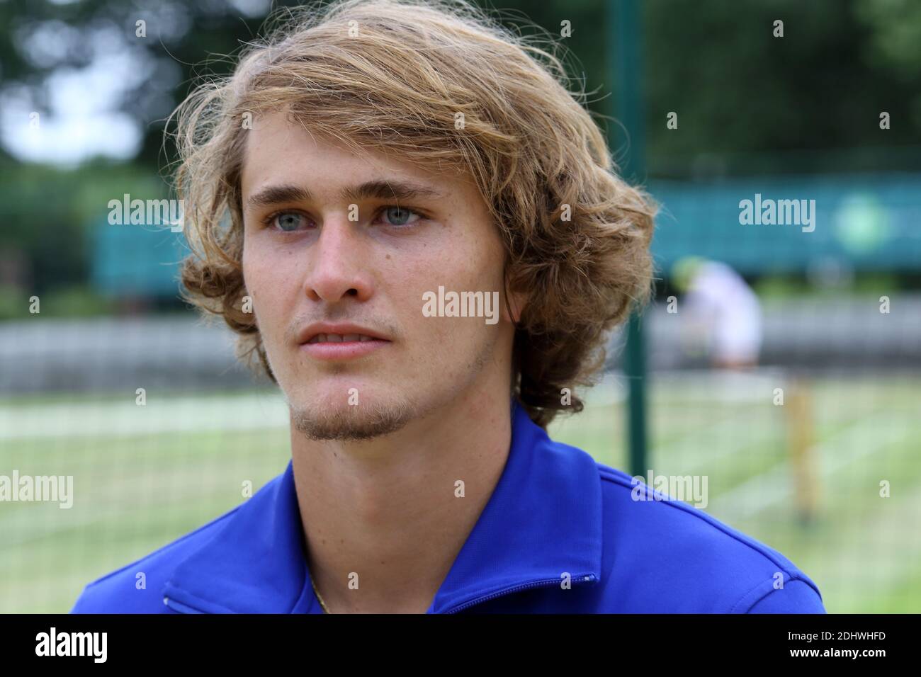 Deutscher Profi-Tennisspieler Alexander Zverev Stockfoto