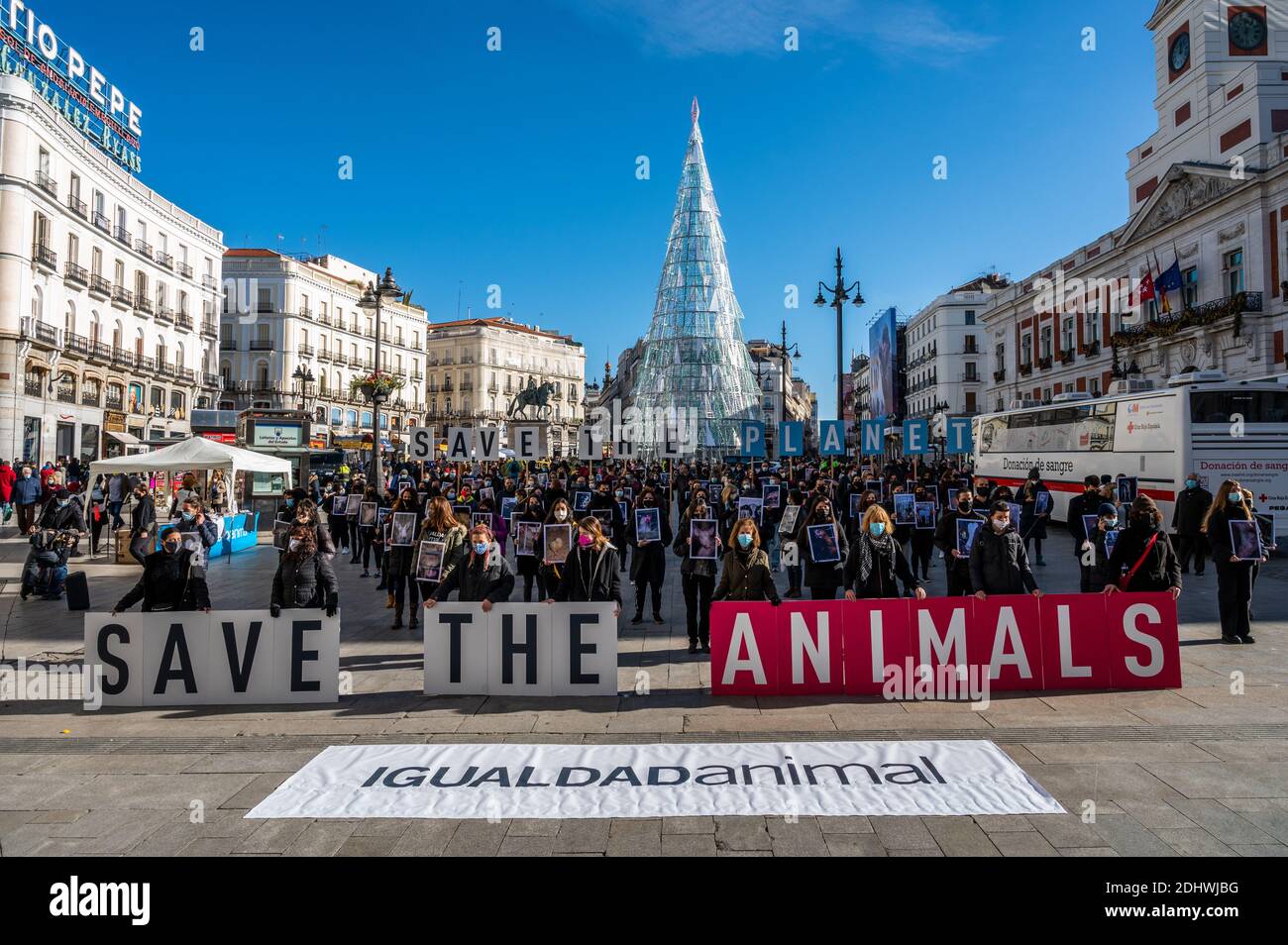 Madrid, Spanien. Dezember 2020. Tierrechtsaktivisten mit Plakaten mit der Aufschrift "Rettet die Tiere, rettet den Planeten" und mit Bildern von Tieren in Farmen, die gegen Tiermissbrauch protestieren, die von der Gruppe "Animal Equality" (Igualdad Animal) genannt werden und die Auswirkungen von Nutztierbeständen auf den Planeten anprangern. Quelle: Marcos del Mazo/Alamy Live News Stockfoto